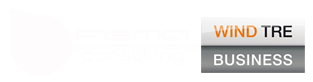 FEMACONSULTING Logo