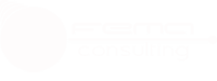 FEMACONSULTING Logo