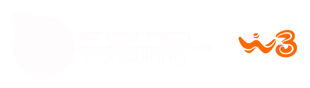 fema-consulting-logo